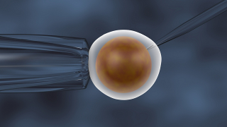 Controversial fertility treatment requiring three genetic parents given thumbs up